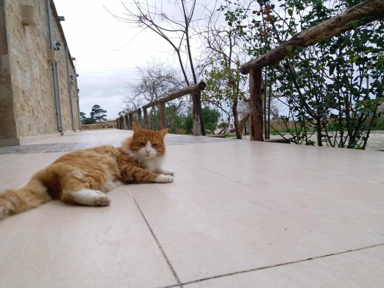 Revakli Ev Guest House Rizokarpaso ภายนอก รูปภาพ